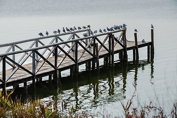 포토 JPG 해외이미지 유럽 호수 모래 바다 여행 백그라운드 자연 갈매기 하늘 호텔 아침 날씨 사람없음 야외 건물 물 마을 항구 사막 땅 휴양지 생태학 우크라이나 오데사 해외포토 주간 자연요소 건축물 교육 나라 교통시설 조류 숙소 장소 생태계 파일형식 이미지허브