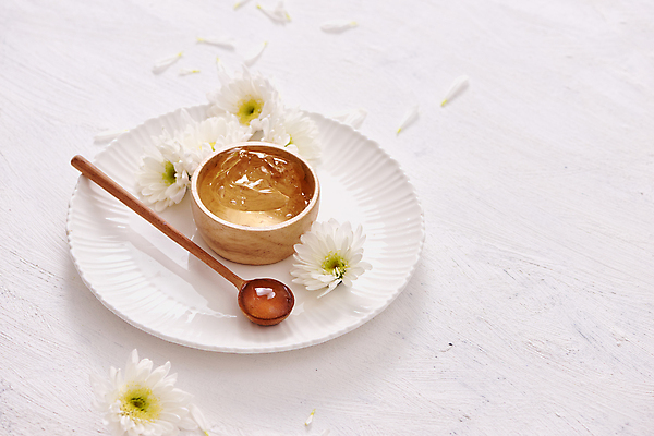 포토 JPG 해외이미지 접시 꽃 실내 사람없음 화장품 흰배경 나무숟가락 나무그릇 에스테틱 알로에젤 해외포토 식물 그릇 식기 백그라운드 내부 목재 뷰티 숟가락 흰색 젤 파일형식 이미지허브