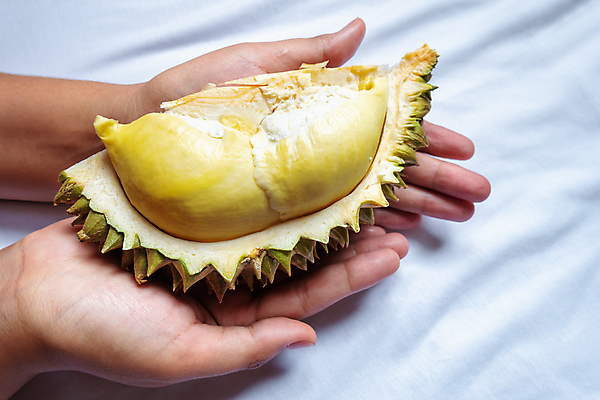 포토 JPG 해외이미지 손 계절 여자 아시아 음식 조각 백그라운드 패턴 농업 과일 재료 태국 자연 디저트 건강 동양인 사람없음 초록색 노란색 껍질 흰색 신선 잡기 가시 달콤 맛 왕 유기농 날것 냄새 날카로움 고립 숙성 이국적 맛있는 해외포토 웰빙 나라 산업 컬러 컨셉 무늬 모션 사람 인종 신체부위 생태계 파일형식 이미지허브