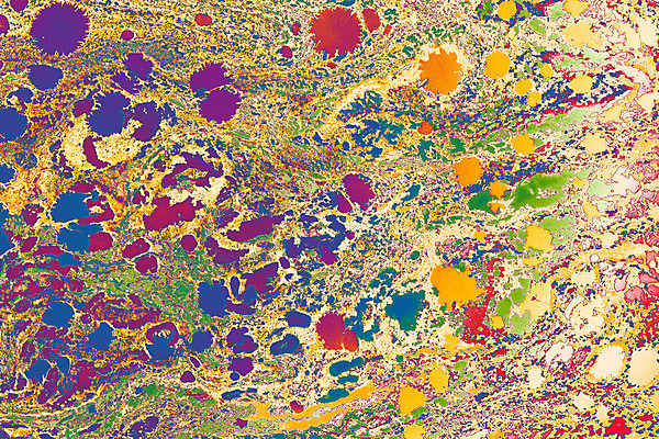 포토 JPG 해외이미지 백그라운드 사람없음 컬러풀 페인트 질감 유화 해외포토 컬러 미술 파일형식 이미지허브