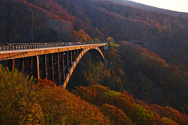 포토 JPG 해외이미지 주간 단풍 자연 산 풍경 사람없음 야외 가을풍경 일본 일몰 가을 가교 아오모리 해외포토 자연요소 건축물 계절 아시아 잎 노을 생태계 파일형식 가을_계절 이미지허브