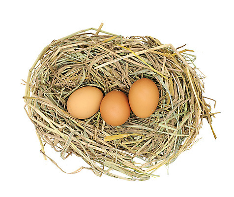 포토 JPG 해외이미지 음식 백그라운드 다이어트 재료 자연 부활절 건강 요리 사람없음 농장 갈색 노란색 계란 식사 치킨 가축 껍질 흰색 신선 그룹 시장 둥지 볏짚 아침식사 오브젝트 유기농 날것 밀짚 내추럴 고립 단백질 생식 암탉 해외포토 동물 웰빙 기념일 컬러 농업 알 닭 짚 암컷 생태계 닭고기요리 영양소 파일형식 이미지허브