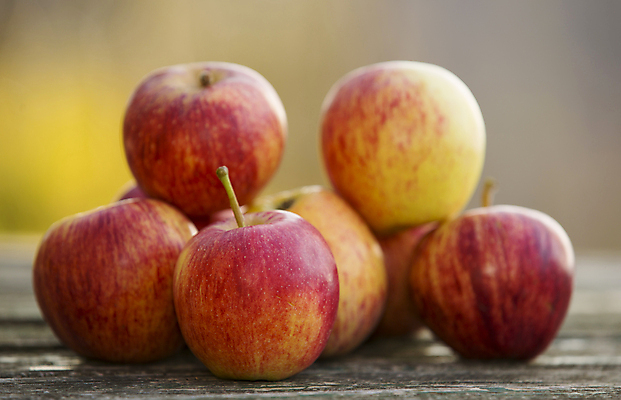 포토 JPG 해외이미지 주간 과일 사람없음 야외 아웃포커스 쌓기 여러개 사과 사과나무 나무탁자 해외포토 자연요소 나무 다수 모션 탁자 촬영기법 파일형식 이미지허브