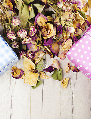 포토 JPG 해외이미지 식물 디자인 꽃잎 꽃 종이 분홍색 꽃다발 결혼 백그라운드 잎 꽃무늬 자연 탁자 엄마 표면 날씨 건조 발렌타인데이 선물 사랑 사람없음 목재 장식 상자 뷰티 장미 갈색 우주 낭만 수확 벚꽃 가을 시골 축하 인사 신용카드 정상 심볼 복고 내추럴 그런지 옛날 카피스페이스 해외포토 나무 계절 감정 컬러 가구 컨셉 무늬 농업 재료 가족 데이이벤트 이벤트 금융 공백 예절 생태계 파일형식 이미지허브