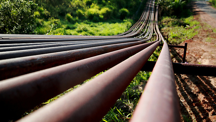 포토 JPG 해외이미지 식물 산업 밭 사람없음 탑 힘 기계 장비 회색 에너지 탐험 오염 제조 휘발유 석유 발굴 기중기 화석 연료 가스 자원 공학 단상 펌프 디젤 조작 추출 파이프라인 해외포토 건축물 교육 컬러 농업 중장비 파이프_관 파일형식 이미지허브