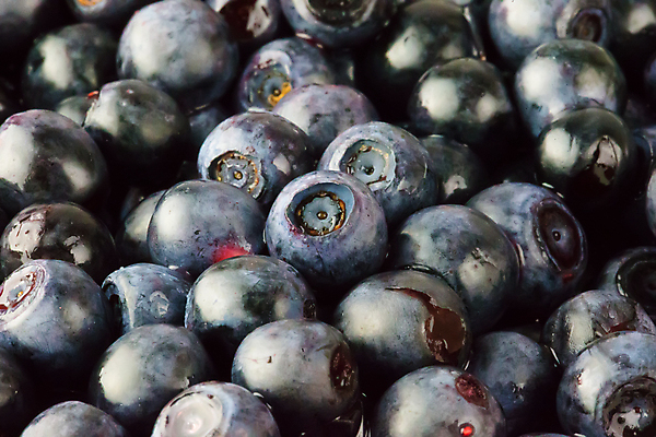 포토 JPG 해외이미지 열매 음식 백그라운드 패턴 농업 다이어트 과일 재료 자연 건강 사람없음 여름 파란색 신선 그룹 닫기 달콤 맛 숲 천 먹기 유기농 원예 질감 냅킨 블루베리 날것 내추럴 숙성 채식주의자 많음 맛있는 해외포토 식물 웰빙 계절 산업 컬러 컨셉 무늬 모션 취미 직물 생태계 채식 파일형식 이미지허브