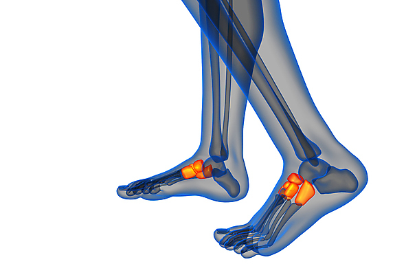 포토 JPG 해외이미지 해부 뼈 골격 건강 사람 사람없음 3D 양발 해외포토 의학 디지털합성 파일형식 이미지허브