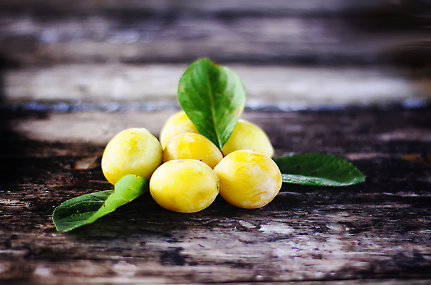 포토 JPG 해외이미지 나무 식물 계절 음식 백그라운드 잎 캐나다 농업 다이어트 과일 자연 영국 건강 사람없음 야외 목재 초록색 파란색 햇빛 농장 노란색 정원 계곡 수확 나뭇가지 시골 신선 그룹 달콤 맛 콜롬비아 과수원 유기농 원예 자두 남쪽 내추럴 라트비아 밭일 숙성 옛날 맛있는 해외포토 웰빙 유럽 산업 컬러 컨셉 북아메리카 재료 북유럽 취미 태양 남아메리카 방향 생태계 파일형식 이미지허브