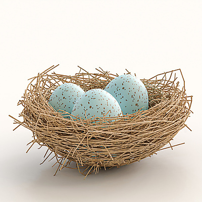 포토 JPG 해외이미지 나무 동물 디자인 계절 야생동물 백그라운드 일러스트 자연 조류 휴가 부활절 주택 사람없음 갈색 계란 봄 껍질 흰색 둥지 심볼 오브젝트 만들기 밀짚 내추럴 고립 목업 해외포토 식물 기념일 컬러 모션 건물 알 짚 생태계 파일형식 이미지허브