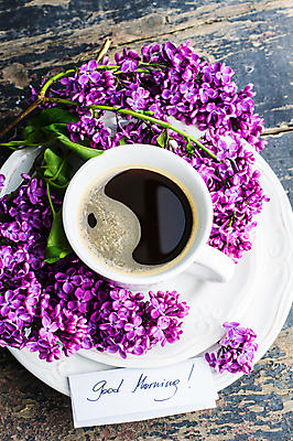 포토 JPG 해외이미지 접시 커피 사람없음 하이앵글 쪽지 커피잔 컵받침 라일락 나무배경 해외포토 식기 꽃 음료 뷰포인트 백그라운드 잔 받침대 파일형식 이미지허브