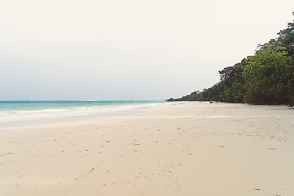 포토 JPG 해외이미지 나무 모래 파도 바다 섬 여행 백그라운드 자연 하늘 휴가 휴식 안테나 손바닥 풍경 사람없음 야외 초록색 물 여름 파란색 모래사장 태양 뷰티 일출 맑음 놀람 흰색 신선 투명 정상 휴양지 인도네시아 석호 내추럴 터키석 파라다이스 미니멀 해외포토 자연요소 식물 손 계절 감정 아시아 컬러 컨셉 통신 날씨 표정 노을 장소 보석 생태계 파일형식 이미지허브