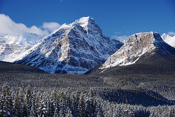 포토 JPG 해외이미지 공원 캐나다 겨울 자연 산 풍경 사람없음 야외 얼음 추위 흰색 빙하 장면 밴프 빙원 앨버타 전국 절정 눈내림 로키산맥 해외포토 자연요소 계절 공공시설 컬러 북아메리카 눈_날씨 생태계 파일형식 이미지허브