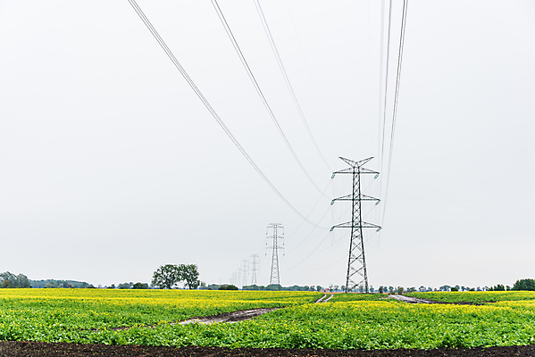 포토 JPG 해외이미지 실루엣 산업 선 백그라운드 하늘 프레임 사람없음 초록색 파란색 탑 금속 힘 장비 에너지 기둥 위험 큼 전염 봉 철탑 공학 세대 분배 전압 철강 힘찬 공급 해외포토 건축물 교육 건축 컬러 컨셉 재질 촬영기법 질병 크기 감염 파일형식 이미지허브