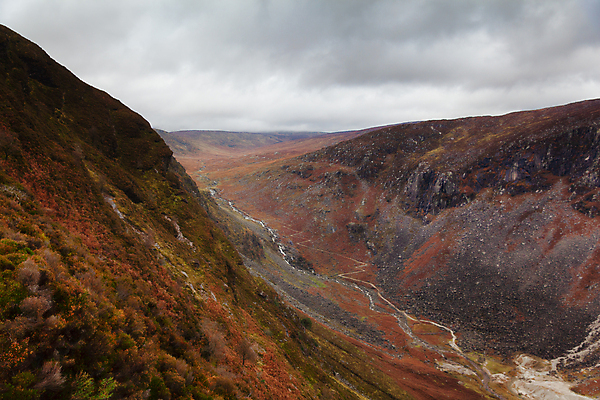 포토 JPG 해외이미지 공원 유럽 호수 여행 오렌지 자국 자연 하늘 산 파노라마 풍경 사람없음 초록색 물 뷰티 노란색 침묵 하이킹 가을 바위 전원 숲 장면 아일랜드 수평선 해외포토 자연요소 계절 공공시설 나라 컬러 과일 레저 촬영기법 소리 돌_바위 전기에너지 생태계 파일형식 이미지허브