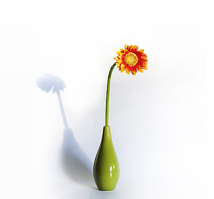 포토 JPG 해외이미지 식물 계절 꽃잎 꽃 분홍색 꽃다발 백그라운드 잎 꽃무늬 오렌지 자연 유리 선물 사랑 사람없음 장식 빨간색 초록색 물 컬러풀 뷰티 노란색 머리 정원 꽃병 봄 성장 벚꽃 흰색 신선 생일 개화 묘사 오브젝트 데이지 거베라 내추럴 고립 해외포토 자연요소 기념일 감정 컬러 무늬 과일 재질 신체부위 생태계 파일형식 이미지허브