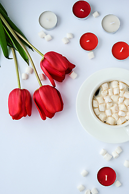 포토 JPG 해외이미지 초 사람없음 컵 튤립 컵받침 흰배경 마시멜로우 플랫레이 해외포토 식기 꽃 백그라운드 디저트 흰색 플랫 받침대 파일형식 이미지허브