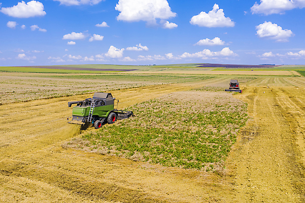 포토 JPG 해외이미지 산업 음식 빵 밭 농업 자연 하늘 안테나 풍경 사람없음 여름 농작물 태양 농장 농경지 노란색 기계 장비 수확 성장 가을 시골 업무 황금 결합 낟알 땅 자르기 시리얼 밀 보리 먼지 장면 밀짚 밭일 숙성 호밀 해외포토 자연요소 계절 컬러 통신 모션 곡류 작업 짚 생태계 파일형식 이미지허브