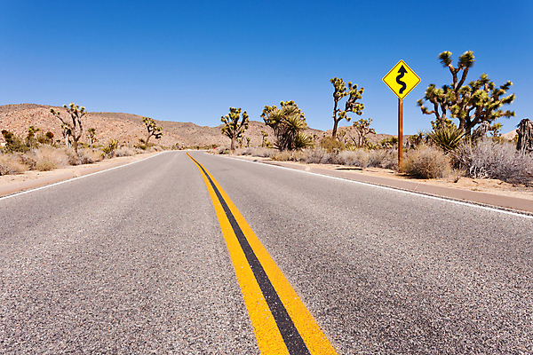 포토 JPG 해외이미지 나무 식물 공원 곡선 자연 국립공원 종류 손바닥 풍경 사람없음 야외 파란색 노란색 환경 미국 사막 성장 고속도로 사인 도로표지판 캘리포니아 내추럴 굴곡 전국 해외포토 손 공공시설 도로 선 컬러 북아메리카 표지판 생태계 파일형식 이미지허브