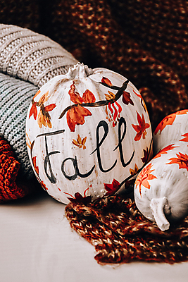 포토 JPG 해외이미지 호박 근접촬영 사람없음 장식 스웨터 오브젝트 해외포토 뷰포인트 상의 채소 파일형식 이미지허브