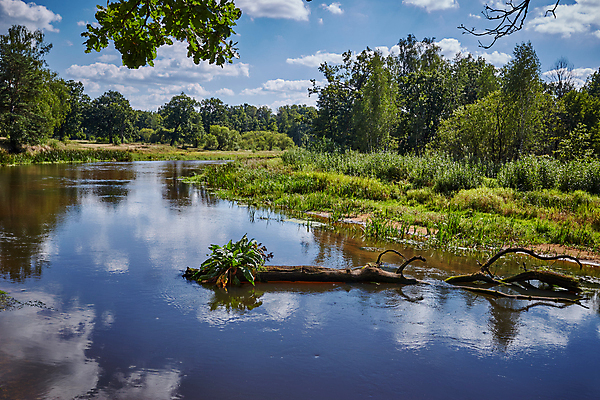 포토 JPG 해외이미지 나무 호수 여행 백그라운드 자연 벽지 하늘 아침 휴가 휴식 사람없음 야외 목재 가로 초록색 물 파란색 강 컬러풀 햇빛 뷰티 반사 일출 침묵 고요 봄 흐름 안개 흰색 시골 개울 숲 장면 넘어짐 벨로루시 해외포토 주간 자연요소 식물 계절 컬러 컨셉 재료 모션 날씨 태양 노을 소리 생태계 파일형식 이미지허브
