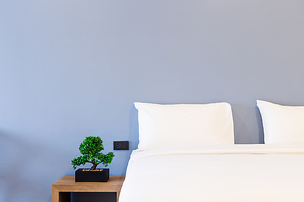 포토 JPG 해외이미지 디자인 벽 여행 가구 비즈니스 건축양식 창문 베개 침구 탁자 호텔 휴가 휴식 새로움 아파트 주택 실내 사람없음 내부 장식 초록색 빛 침실 방 흰색 침대 램프 잠 커튼 고급 우아함 담요 묘사 부드러움 시트 매트리스 스타일 해외포토 건축 컬러 생활용품 컨셉 숙소 조명 건물 감각 파일형식 이미지허브