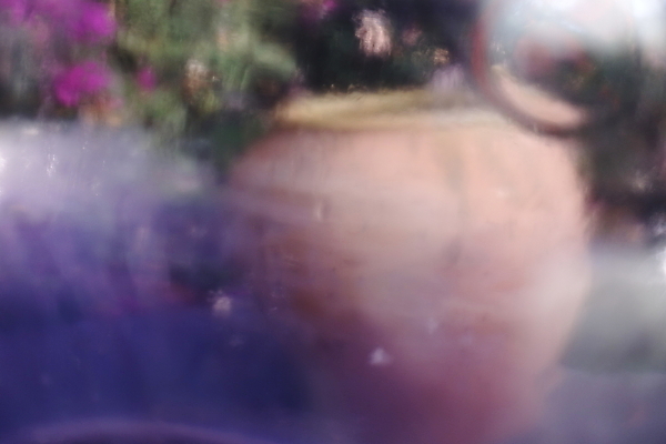 포토 JPG 해외이미지 식물 꽃 자연 유리 사람없음 정원 도자기 해외포토 재질 생태계 파일형식 이미지허브