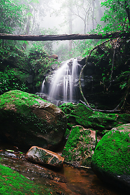 포토 JPG 해외이미지 나무 식물 아시아 여행 태국 자연 산 이끼 사람없음 초록색 물 달리기 봄 트래킹 폭포 젖음 촉촉함 흐름 신선 개울 해조류 붓기 숲 단계 전국 특별함 해외포토 자연요소 계절 나라 컬러 컨셉 모션 레저 강 해양식물 생태계 파일형식 이미지허브