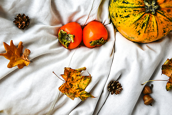 포토 JPG 해외이미지 낙엽 호박 감 사람없음 하이앵글 오브젝트 도토리 솔방울 해외포토 뷰포인트 잎 채소 과일 견과류 파일형식 이미지허브