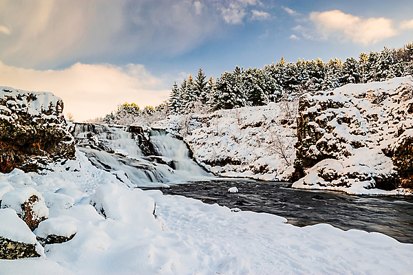 포토 JPG 해외이미지 나무 계절 겨울 모션 자연 하늘 아침 아이슬란드 사람없음 야외 빛 강 햇빛 일출 냉동 얼음 힘 폭포 흐름 추위 흰색 소나무 개울 숲 즐거움 서리 내추럴 힘찬 해외포토 주간 자연요소 식물 감정 유럽 컬러 컨셉 태양 노을 생태계 파일형식 이미지허브