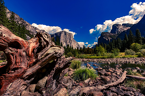 포토 JPG 해외이미지 공원 자연 산 사람없음 캘리포니아 요세미티국립공원 해외포토 공공시설 국립공원 미국 생태계 파일형식 이미지허브