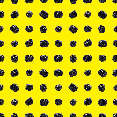포토 JPG 해외이미지 패턴 사람없음 블랙베리 노란배경 해외포토 백그라운드 무늬 과일 노란색 파일형식 이미지허브