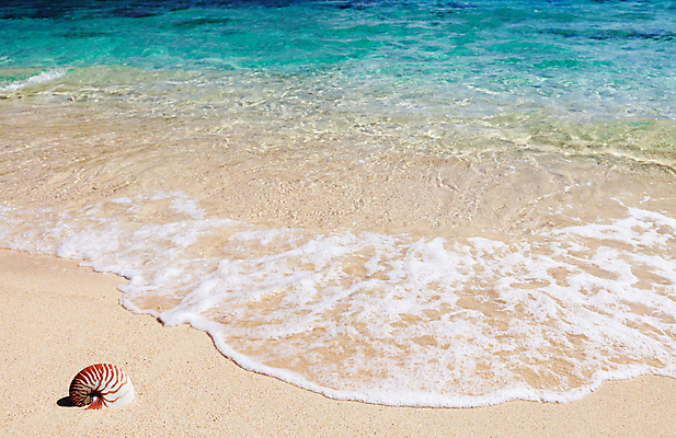 포토 JPG 해외이미지 모래 파도 바다 섬 여행 백그라운드 자연 휴가 휴식 풍경 사람없음 야외 물 여름 맑음 침묵 껍질 산호 휴양지 석호 앵무조개 이국적 터키석 파라다이스 해외포토 자연요소 계절 컨셉 날씨 조개 소리 장소 자포동물 보석 생태계 파일형식 이미지허브