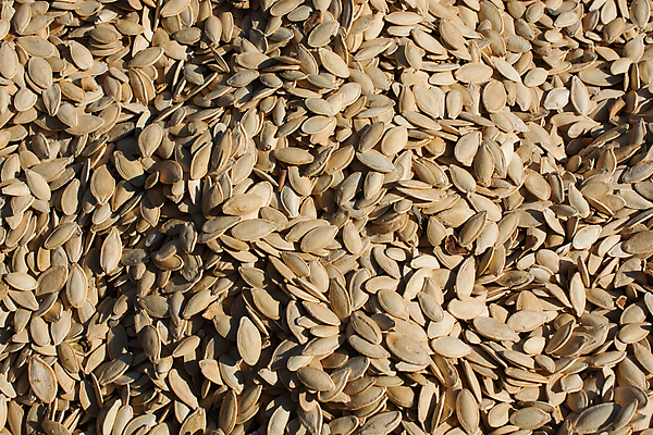 포토 JPG 해외이미지 음식 다이어트 재료 호박 건조 씨앗 사람없음 목재 초록색 흰색 먹기 유기농 날것 머리위 창백 식용 탈수 해외포토 나무 식물 웰빙 컬러 채소 모션 건강 파일형식 이미지허브