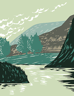 JPG 해외이미지 나무 일러스트 자연 국립공원 사람없음 강 미국 그림 카툰스타일 해외일러스트 식물 공원 북아메리카 생태계 파일형식 이미지허브