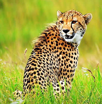 포토 JPG 해외이미지 여행 사람없음 여행객 해외포토 사람 파일형식 이미지허브