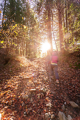 포토 JPG 해외이미지 나무 계절 길 스포츠 잎 하늘 따뜻함 한명 풍경 장식 빛 컬러풀 햇빛 태양 걷기 일몰 산책 활발 하이킹 수확 가을 황무지 분위기 황금 숲 긍정 땅바닥 방법 패기 자극 효과 해외포토 자연요소 식물 1 컬러 컨셉 농업 모션 레저 휴식 바닥 사람 노을 자신감 파일형식 이미지허브