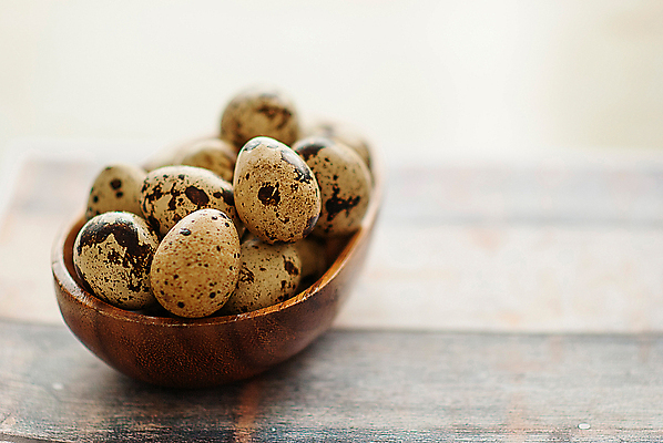 포토 JPG 해외이미지 전통 음식 다이어트 재료 건강 요리 사람없음 목재 갈색 바구니 계란 회색 튀김 시골 신선 사발 볏짚 아침식사 상품 가득함 유기농 날것 발레복 노른자 밀짚 흙더미 제비 베일 오믈렛 내추럴 깨짐 메추리 식용 식품점 채식주의자 해외포토 나무 웰빙 옷 컬러 컨셉 조류 상점 알 식사 흙 사기그릇 짚 계란요리 발레 채식 파일형식 더미 이미지허브