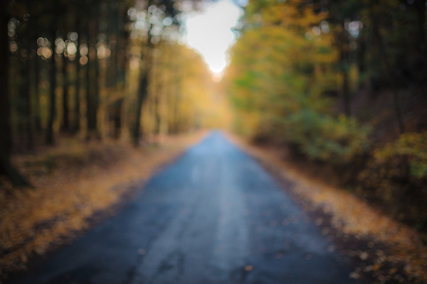 포토 JPG 해외이미지 나무 디자인 계절 공원 도로 길 여행 백그라운드 잎 자동차 자연 하늘 추상 미래 풍경 사람없음 야외 목재 빨간색 초록색 여름 빛 햇빛 태양 노란색 일출 일몰 봄 운전 가을 시골 고속도로 숲 아스팔트 장면 내추럴 방법 해외포토 자연요소 식물 공공시설 육상교통 컬러 컨셉 무늬 재료 교통시설 모션 노을 생태계 파일형식 이미지허브