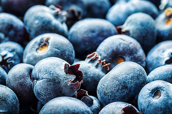 포토 JPG 해외이미지 실내 근접촬영 사람없음 아웃포커스 파란색 신선 달콤 가득함 블루베리 해외포토 뷰포인트 컬러 과일 촬영기법 내부 맛 파일형식 이미지허브