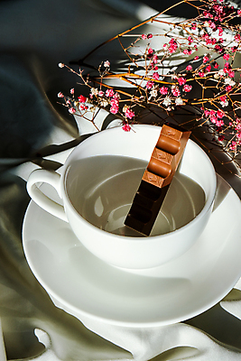 포토 JPG 해외이미지 식물 실내 사람없음 초콜릿 찻잔 컵받침 오브젝트 마른잎 차받침대 해외포토 잎 디저트 잔 내부 받침대 파일형식 이미지허브