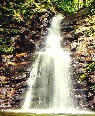 포토 JPG 해외이미지 여행 자연 사람없음 뷰티 여행객 해외포토 사람 생태계 파일형식 이미지허브