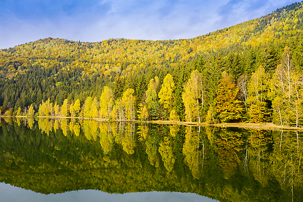 포토 JPG 해외이미지 나무 계절 호수 여행 백그라운드 잎 자연 하늘 산 항해 풍경 사람없음 목재 물 여름 파란색 강 컬러풀 반사 평화 환경 침묵 거울 안개 가을 전원 황금 성자 숲 나무상자 그림 화산 분화구 루마니아 10월 인기 트란실바니아 파라다이스 해외포토 자연요소 식물 유럽 종교 컬러 컨셉 배_교통 재료 날씨 상자 소리 날짜 전기에너지 생태계 파일형식 이미지허브