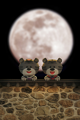 PSD 편집 편집이미지 커플 두마리 새해 3D캐릭터 사람없음 3D 보름달 잡기 호랑이띠 야간 디지털합성 호랑이캐릭터 달맞이 기와담장 편집소스 2022년 임인년 흑호 편집3D 자연요소 캐릭터 동물캐릭터 2 관계 모션 기와 담장 달 십이지신 호랑이 연도 파일형식