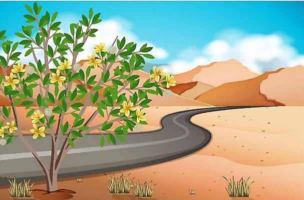 EPS 해외이미지 주간 클립아트 나무 식물 도로 모래 여행 일러스트 자연 날씨 휴가 산 거리 선인장 건조 따뜻함 손바닥 풍경 야외 그래픽 여름 태양 환경 사막 뜨거움 만화 모래언덕 그림 피라미드 장면 사하라 내추럴 서쪽 해외일러스트 자연요소 건축물 손 계절 길 교통시설 아프리카 방향 언덕 생태계 랜드마크 파일형식 벡터 이미지허브