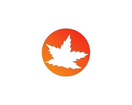 EPS 해외이미지 모양 나무 디자인 배너 계절 실루엣 종이 백그라운드 단풍 잎 캐나다 일러스트 자연 벽지 미술 그래픽 빨간색 미국 가을 흰색 축하 깃발 인사 심볼 오브젝트 사인 기념물 애국심 7월 내추럴 고립 독립 앨버타 엘리먼트 전국 해외일러스트 식물 컬러 컨셉 북아메리카 문화예술 촬영기법 예절 날짜 생태계 파일형식 벡터 아메리카 대륙 이미지허브