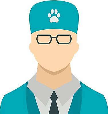 EPS 해외이미지 동물 직업 유니폼 일러스트 청진기 건강 병원 사람 성인 치료 반려동물 약 머리 고통 시험 의사 잡기 작업 플랫 개 강아지 어깨 문서 수의사 송곳니 돌봄 헬프 해외일러스트 옷 교육 감정 포유류 의학 의료기기 모션 신체부위 의료진 도움 치아 파일형식 벡터 이미지허브