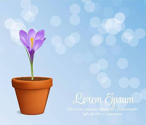 EPS 해외이미지 식물 계절 꽃잎 꽃 줄기 꽃다발 백그라운드 잎 일러스트 자연 초록색 파란색 농작물 머리 보라색 봄 들꽃 벚꽃 흰색 꽃술 시골 투명 우아함 작음 자주색 자르기 오브젝트 싱글 장면 붓꽃 고립 해외일러스트 컬러 컨셉 농업 모션 신체부위 크기 생태계 파일형식 벡터 이미지허브