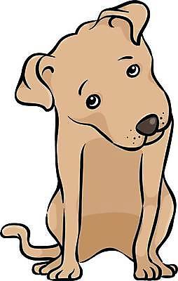 EPS 해외이미지 동물 캐릭터 행복 일러스트 통신 포유류 털 서기 미소 앉기 그래픽 반려동물 머리 스패니얼 표현 그리기 양치기 개 강아지 질문 만화 닥스훈트 테리어 그림 꼬리 사냥개 귀 청각 갸우뚱 송곳니 기르기 유래 해외일러스트 일러캐릭터 직업 감정 모션 표정 신체부위 치아 돌봄 파일형식 벡터 이미지허브