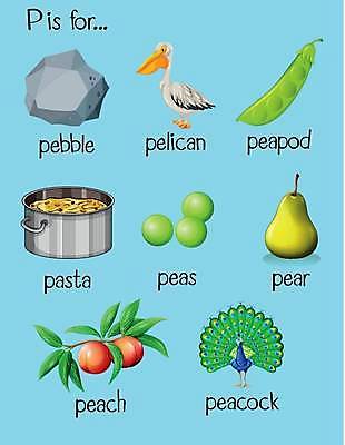 EPS 해외이미지 클립아트 알파벳 영어 교육 포스터 백그라운드 일러스트 텍스트 파스타 미술 그래픽 단어 세트 독서 유치원 조약돌 기록 신용카드 공작 편지 펠리컨 읽기 그림 완두콩 클립 복숭아 최초 판지 초보 필기체 레터링 해외일러스트 문자 과일 모션 조류 문화예술 콩 서양음식 금융 돌 파일형식 벡터 이미지허브