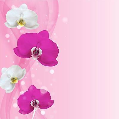 EPS 해외이미지 식물 템플릿 디자인 꽃잎 꽃 결혼 백그라운드 꽃무늬 일러스트 자연 장식 여름 정원 스파 봄 방 낭만 벚꽃 나뭇가지 신선 개화 난초 우아함 유기농 호접란 내추럴 고립 생태학 이국적 스타일 해외일러스트 나무 웰빙 계절 교육 컨셉 무늬 이벤트 생태계 파일형식 벡터 이미지허브